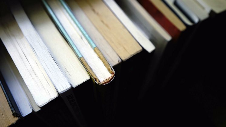 A line of books on a shelf.
